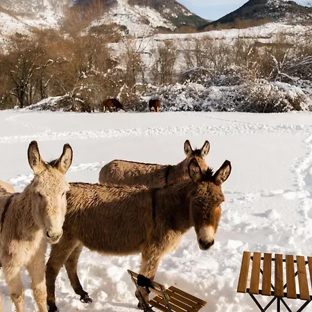 Hébergement de vacances Homnest - Brumes Des Hauts Bains - Coeur Pyrennees *