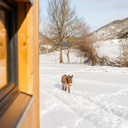 Homnest - Brumes Des Hauts Bains - Coeur Pyrennees * Escouloubre