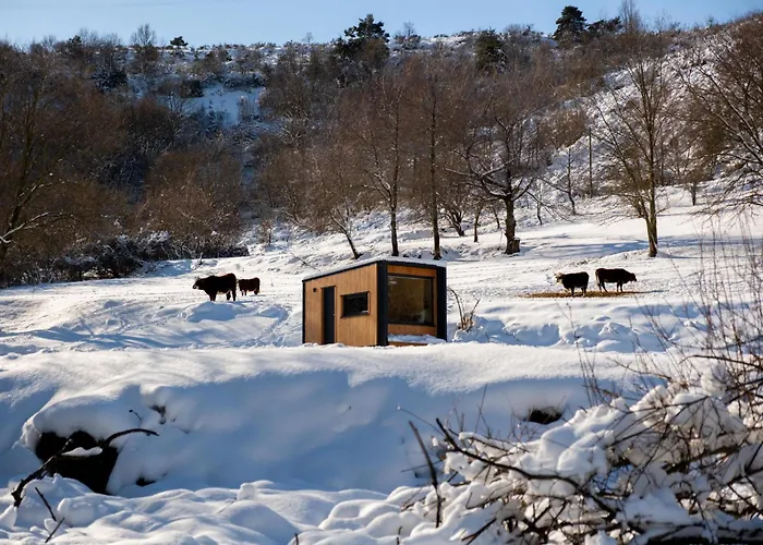 Holiday home Homnest - Brumes Des Hauts Bains - Coeur Pyrennees